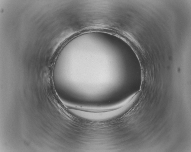 X0000059091356200510172044