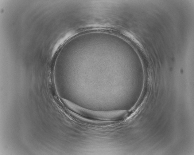 X0000059091357200510172044