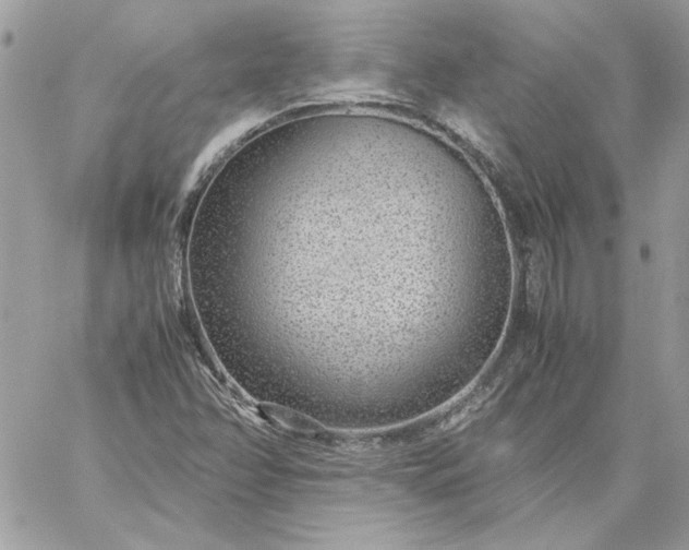 X0000059091358200510172044