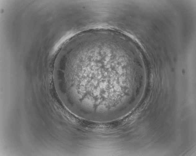 X0000059091359200510172044