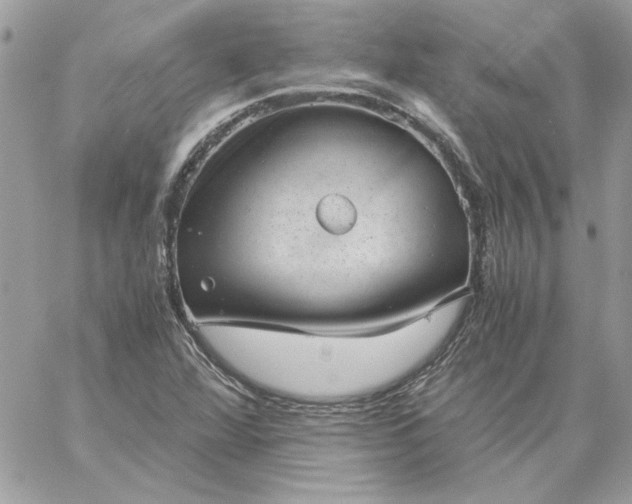 X0000059091360200510172044