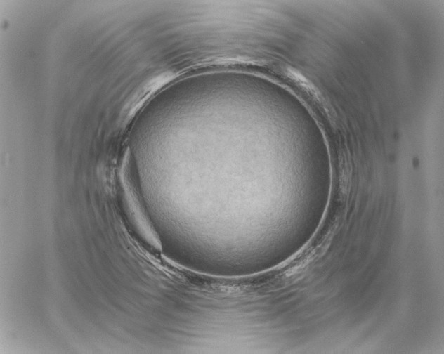 X0000059091361200510172044