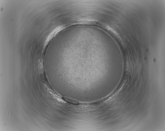 X0000059091362200510172044