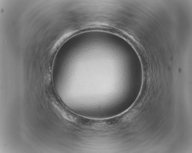 X0000059091363200510172044