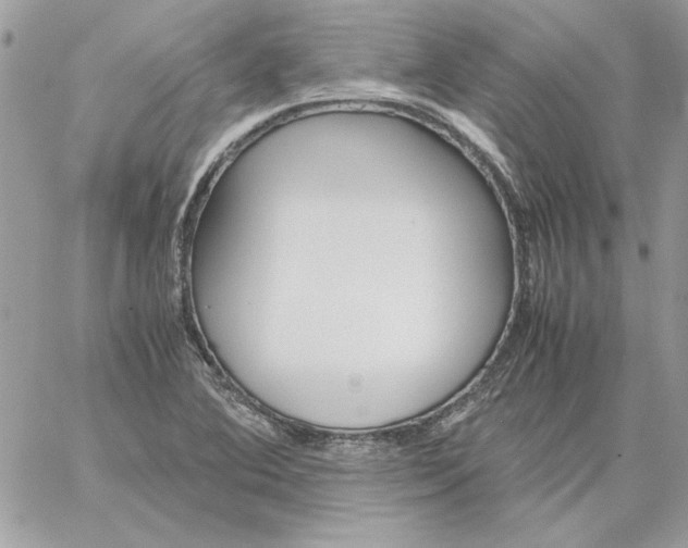 X0000059091364200510172044