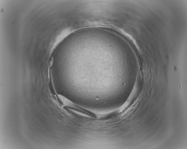 X0000059091365200510172044