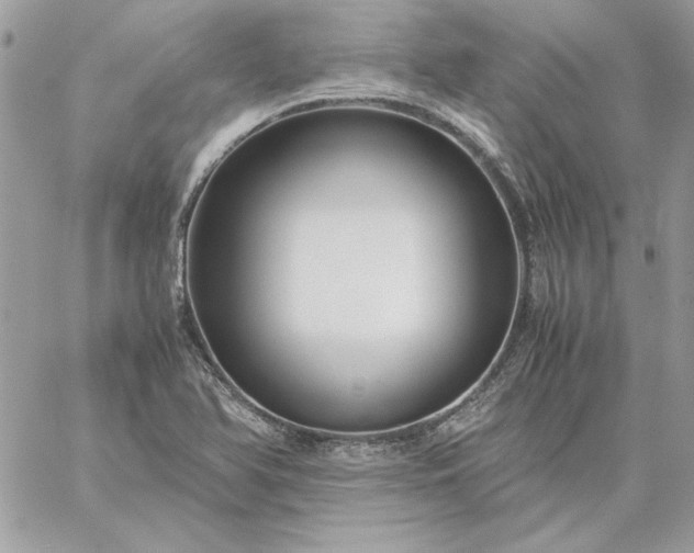 X0000059091366200510172044