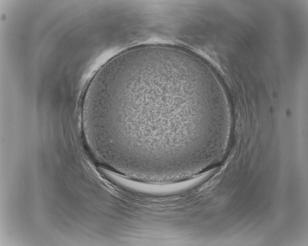 X0000059091367200510172044