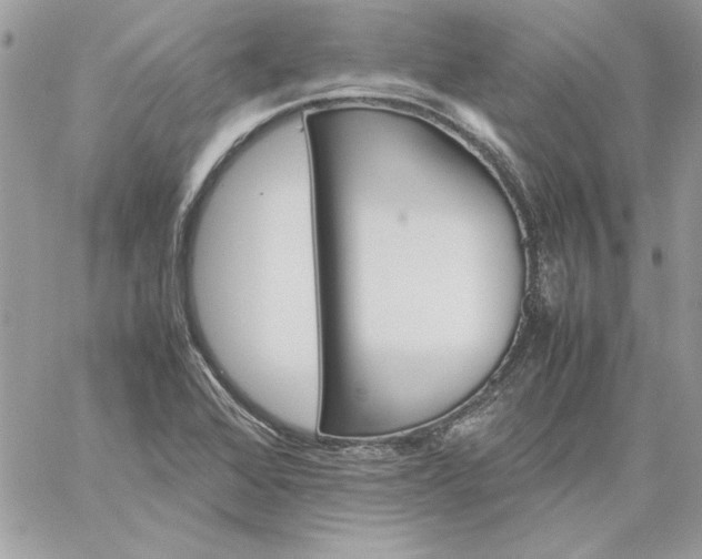 X0000059091368200510172044