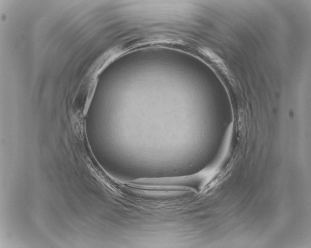 X0000059091369200510172044