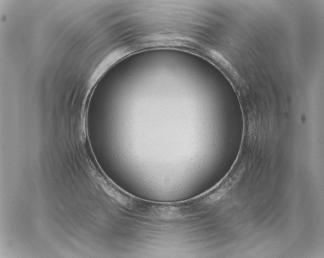 X0000059091370200510172044