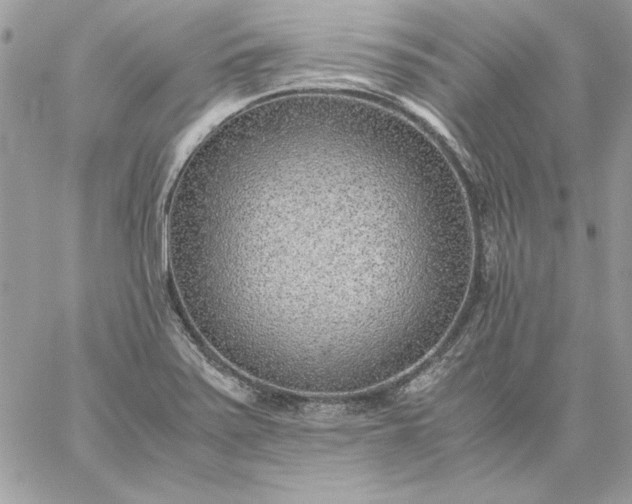 X0000059091371200510172044