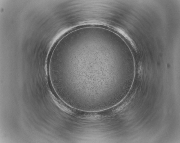 X0000059091372200510172044