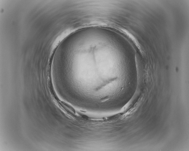 X0000059091373200510172044