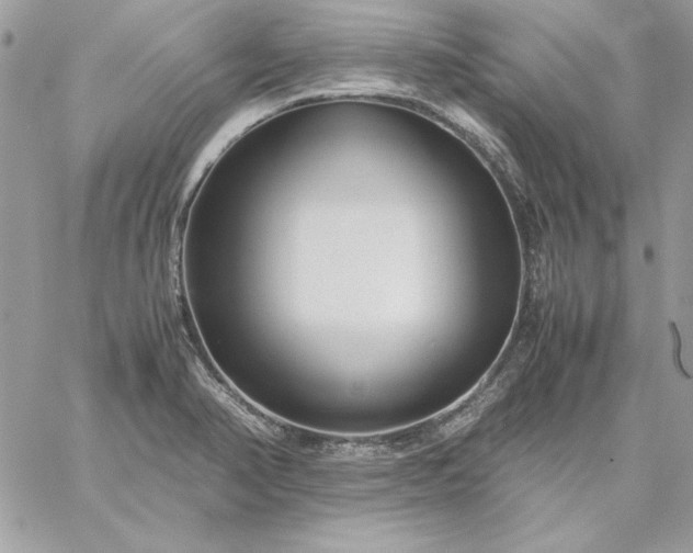 X0000059091374200510172044