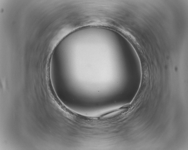 X0000059091375200510172044