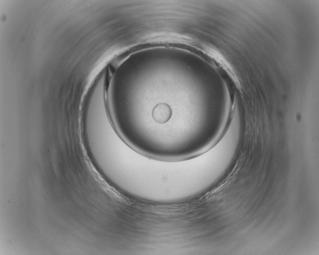 X0000059091376200510172044