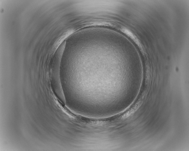 X0000059091377200510172044