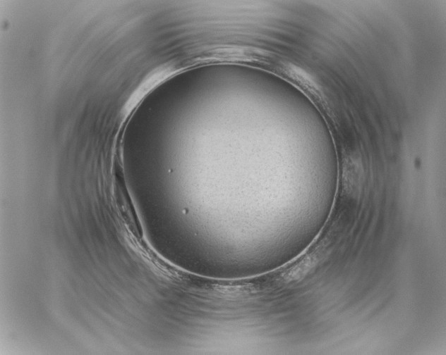 X0000059091378200510172044