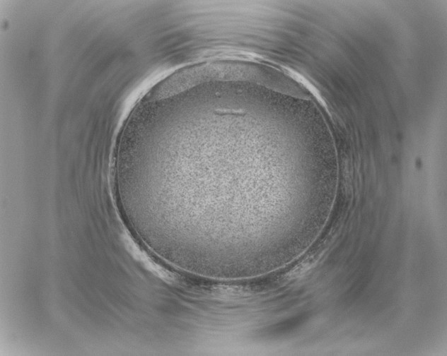 X0000059091379200510172044