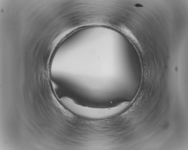 X0000059091380200510172044