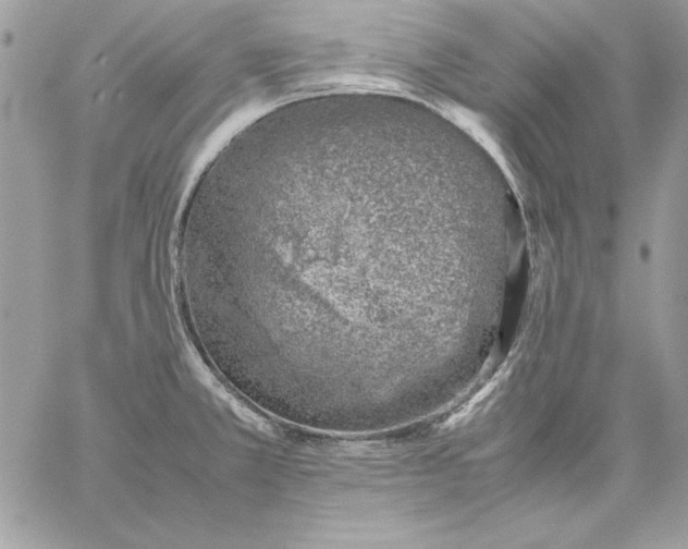 X0000059091381200510172044