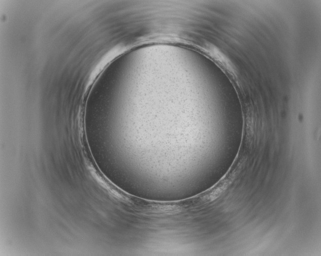 X0000059091382200510172044