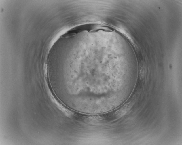 X0000059091383200510172044