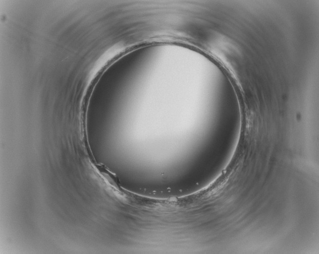 X0000059091384200510172044