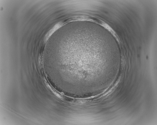 X0000059091385200510172044