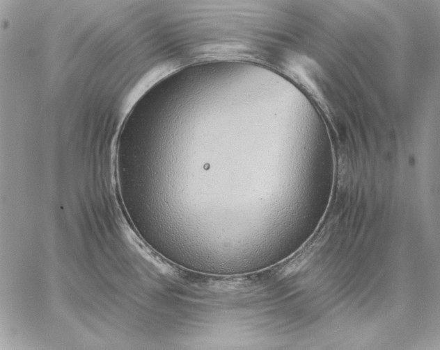 X0000059091386200510172044