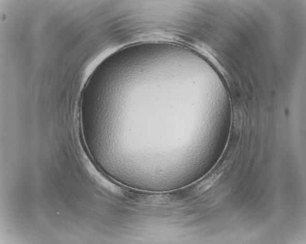 X0000059091387200510172044