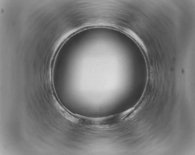 X0000059091388200510172044