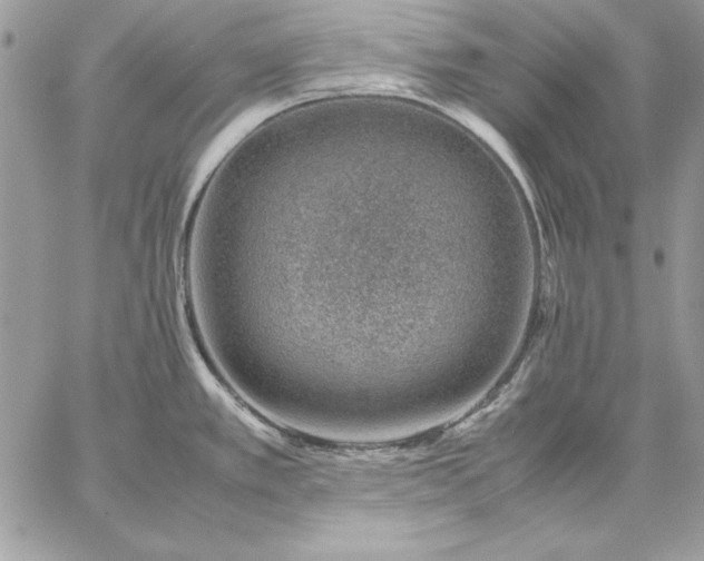 X0000059091389200510172044