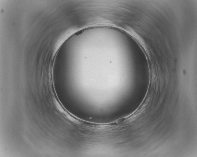 X0000059091390200510172044