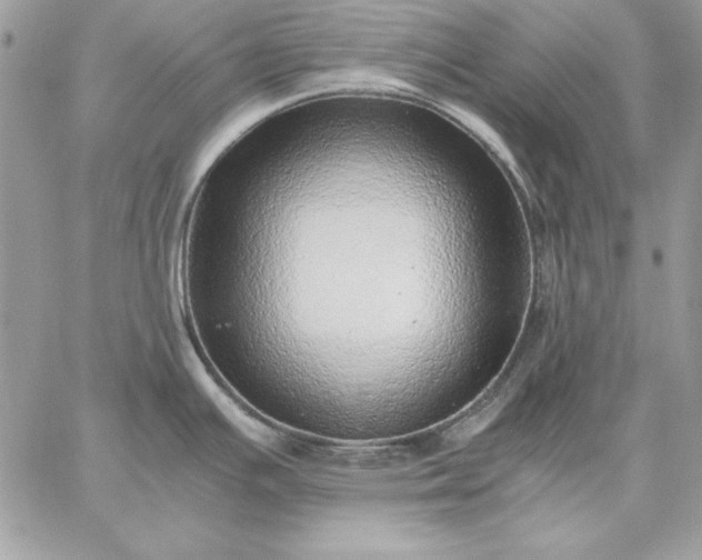 X0000059091391200510172044