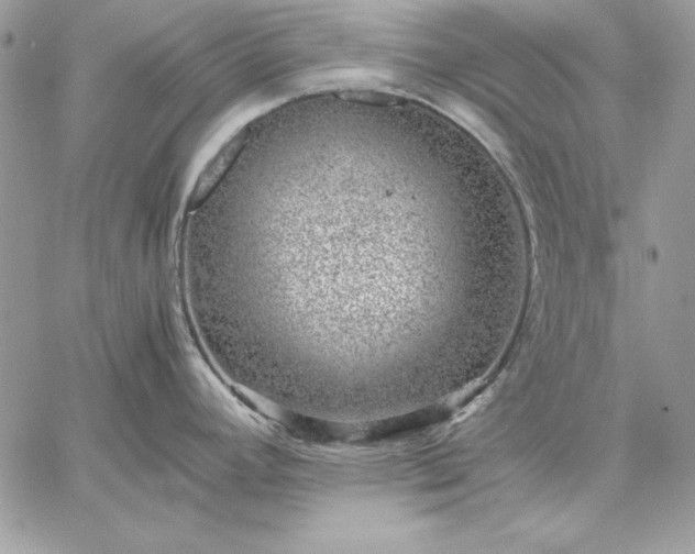 X0000059091392200510172044