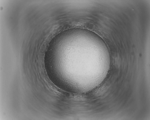 X0000059091393200510172043