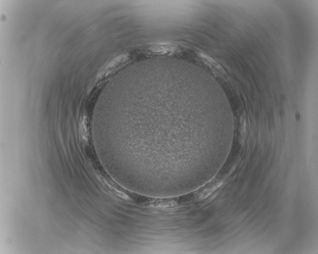 X0000059091394200510172043