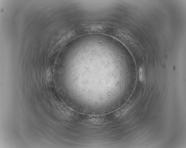 X0000059091395200510172043