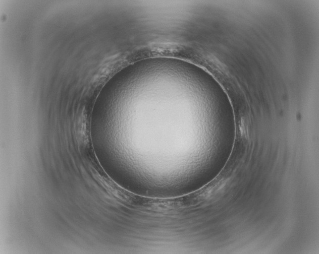 X0000059091396200510172043