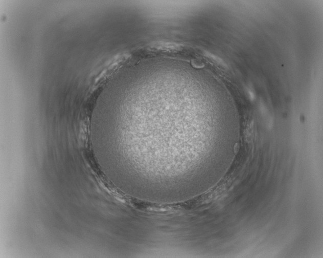 X0000059091397200510172043