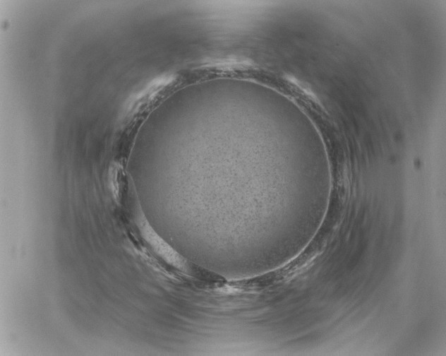 X0000059091398200510172043