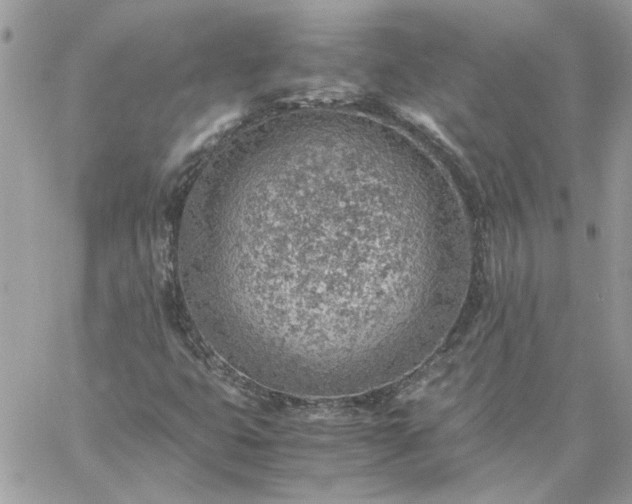 X0000059091399200510172043