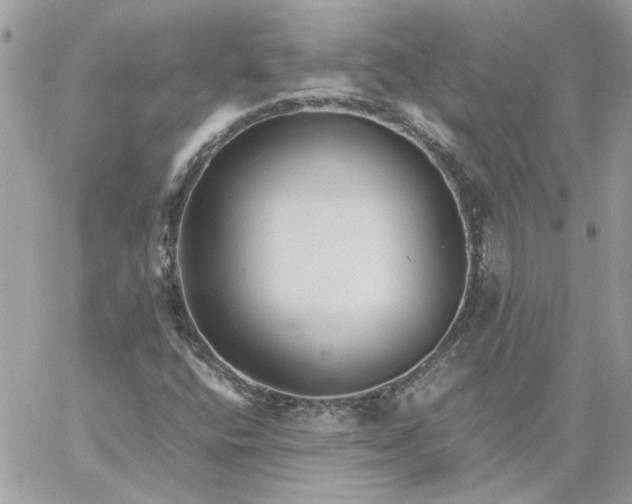 X0000059091400200510172043