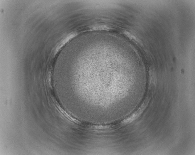 X0000059091401200510172043