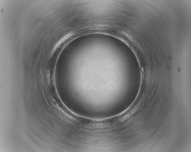 X0000059091402200510172043