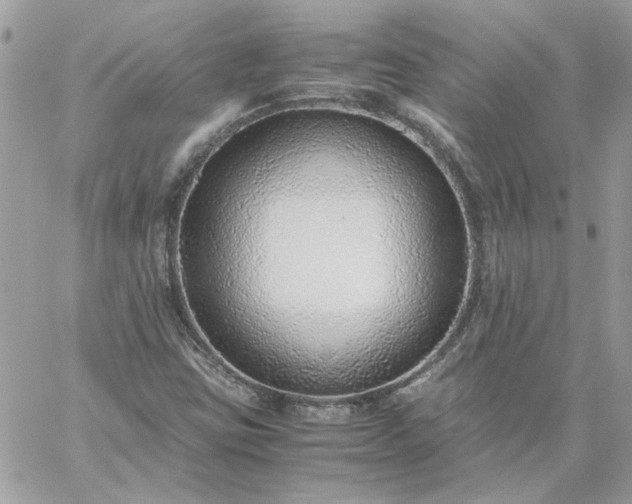 X0000059091403200510172043