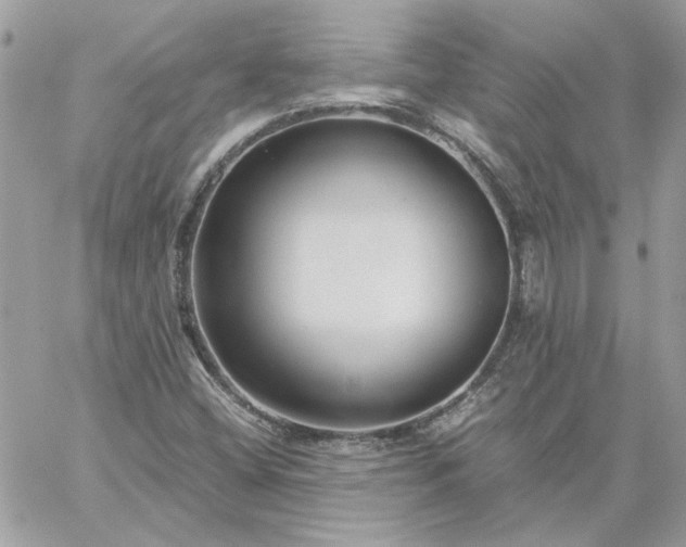 X0000059091404200510172043