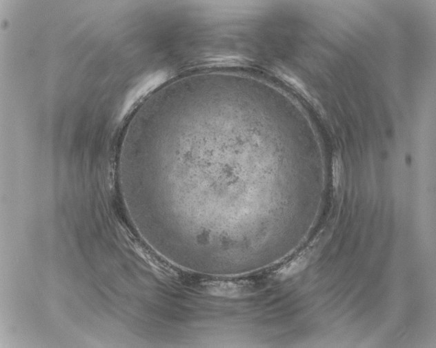 X0000059091405200510172043